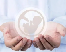 三代试管成功之旅：全面流程解析与操作步骤指南