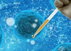 自助赴新加坡试管全攻略：必知事项与行程指南