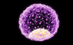 广东试管成功率领跑！揭秘高成功率背后的秘密，一次尝试更多希望！