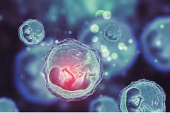 取卵后别急着跑，医院小憩很重要！取卵后注意事项全攻略