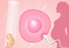 新加坡试管包成功的几率最新数据，如何提高新加坡试管的成功率？