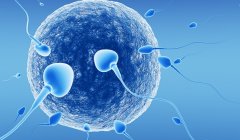 <b>提供优质的助孕生子服务，吉林提供助孕生子服务的医院介绍</b>