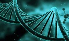 天津私人医院试管包生'男'孩的前景及原理分析