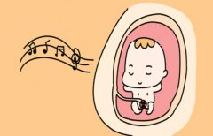 广东试管能包生'男'孩的医院排名，试管性别选择的原理