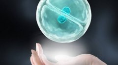 这些原因决定了江苏做试管不需要结婚证