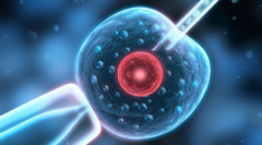 盘点试管十大注意事项，手术前必看！