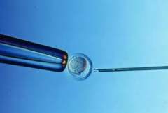 中山试管龙凤胎费用明细曝光，助你精打细算每一步