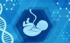 佛山第三代试管做男孩的基础费用及明细大揭秘！