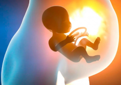 衡水三代试管费用大揭秘：详细解析，看完就懂！