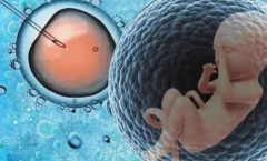 长春试管费用全解析：概览费用构成与差异，助您心中有数