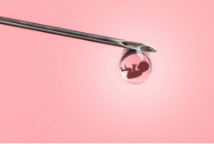 高龄女性三代试管成功率解析：影响因素与提升策略全攻略