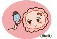 黄石三代试管包成功医院揭秘，助你安心圆梦