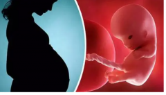 昆明公立医院三代试管选性别费用全解析，详细收费项目，助你预算无