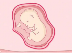 柳州三代试管生'男'孩费用全解析,流程与费用，一文带你全面了解！