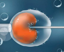 荨麻疹患者注意：直接试管可能影响胚胎移植成功率！