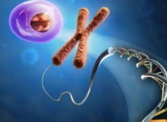 鲜胚移植后注意事项全解析：五大要点，助你顺利度过恢复期！