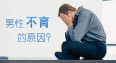 专家解答！男性不育试管婴儿技术，从取精到移植的全过程