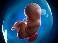 湖南省妇幼保健院试管成功率揭秘！分享2024年真实助孕故事，助你安心