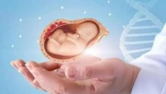 河北做试管选择性别要满足什么条件？