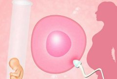 宜昌试管男宝宝的收费项目，影响宜昌试管成功率的因素