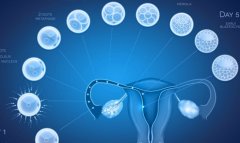 信阳三代试管包成功的费用明细，三代试管的成功率如何？