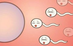 乐山第三代试管包生女孩的费用构成及费用明细