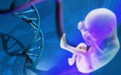 柳州公立医院三代试管费用构成，柳州三代试管的优势