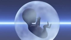 日照私人机构试管的价格解析，为什么试管的价格会出现波动？