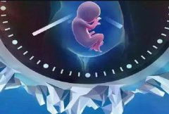 抚州三代试管包生男孩的费用明细，费用总共约为20万-30万