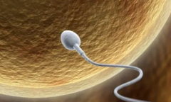 试管选性别，金华费用并非普遍高昂，个性化方案是关键！