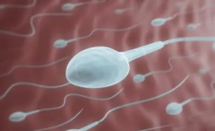 黄冈试管新动向：包成功费用与影响因素一网打尽！