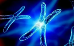 衡阳三代试管生'男'孩费用全解析：一次了解费用构成