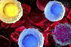 试管费用不再迷茫，看完本文心里有数！