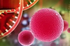 从基本到额外，潮州试管选性别费用全知道