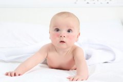 试管促排不迷茫，适量牛奶为卵泡发育保驾护航！