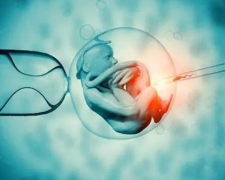 试管冷冻胚胎有哪些优势？提高移植成功率是其中之一