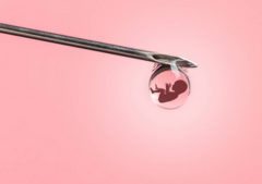 降调至移植全解析：时间安排、效果与持续时长，一文读懂！