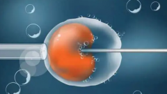  试管费用不再迷茫，俄罗斯之行报销全知道！