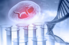 鲜胚移植首日指南：细节决定成功，必看注意事项