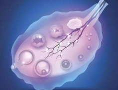 降调后是否达标？关键看这三项指标是否正常！