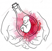 高龄试管促排后，这五大生活调整不可忽视！