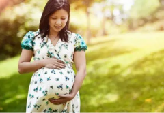 白细胞偏高：试管移植成功率隐忧，决策前务必深思熟虑