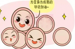 空军总医院试管攻略：选择理由与注意事项一网打尽！