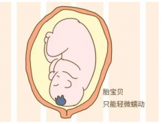 轻度子宫畸形试管之路：挑战与希望并存，成功率受关注！