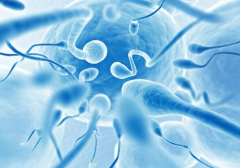 过敏体质遇上试管，会有啥影响？移植前必看注意事项！