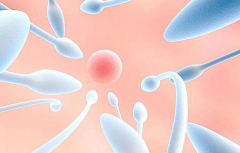 高龄也能圆梦：试管移植养囊全解析，两大益处让你信心倍增！