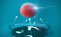 试管前子宫调理有妙招，成功率蹭蹭涨！三大方法助你轻松备孕