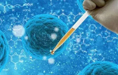 试管降调期，饮食小贴士来啦！六大要点教你轻松吃对！