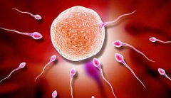 试管成功秘籍：长方案促排，这6点你得知道！