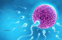 鹿泉地区可以做试管的原因分析，试管是否值得投资？